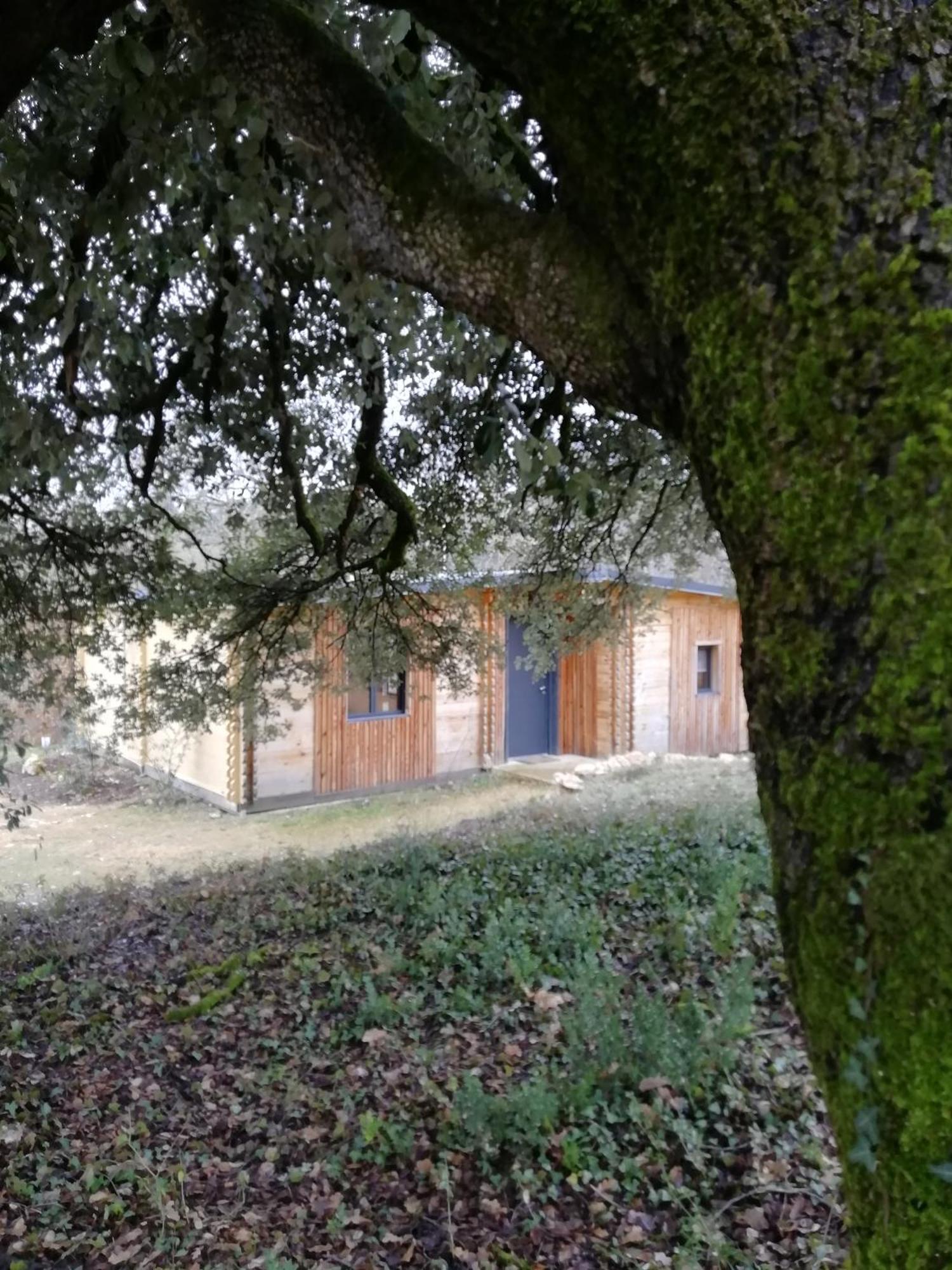 Gites Du Chene Vert Montignac-Lascaux Kamer foto