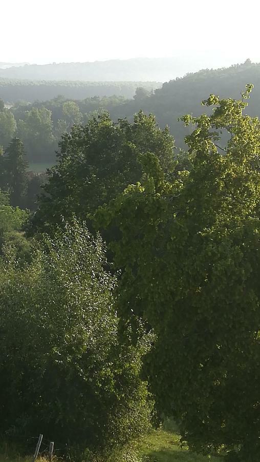 Gites Du Chene Vert Montignac-Lascaux Buitenkant foto