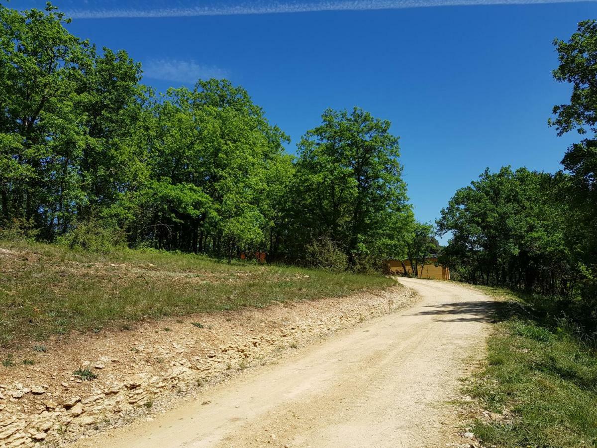 Gites Du Chene Vert Montignac-Lascaux Buitenkant foto