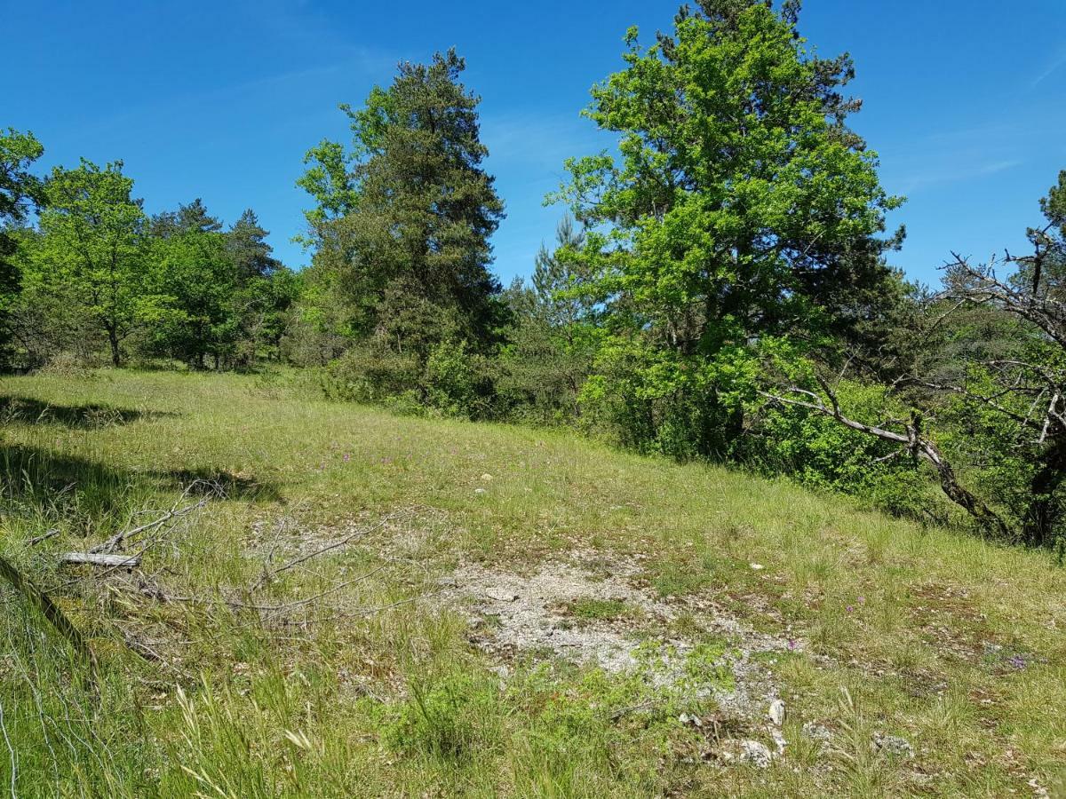 Gites Du Chene Vert Montignac-Lascaux Buitenkant foto